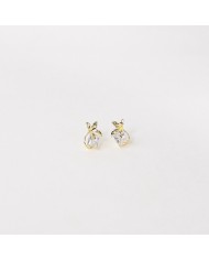 Bamboo Rhythm Earrings Plata 925